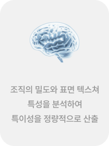 밀도-텍스쳐 계산 1