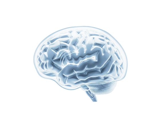 밀도-텍스쳐 계산