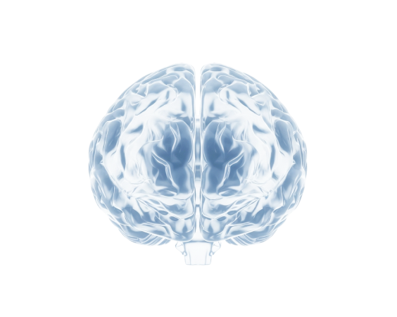 부피정량 용적계산